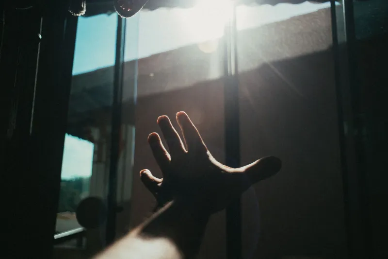 More Than Bone Deep: How Vitamin D Deficiency Quietly Dismantles Immune Defense and Mental Clarity